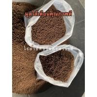 ราคา มูลไส้เดือนคุณภาพดี เลี้ยงด้วยบรีดดิ้งคุณภาพดี ใช้เพาะถั่วงอกหัวโต และ ต้นอ่อนอื่นๆได้ ขายยกกระสอบ 5 กิโล (13703687359)