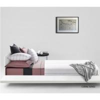 ราคา SANTAS ชุดเครื่องนอน ดีไซน์ CORAL SENSE 6 ฟุต 6 ชิ้น 600 เส้นด้าย (13983642377)