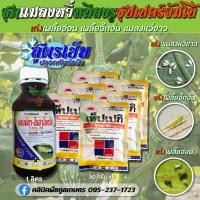 ราคา กำจัดแมลงหวี่ 1 ลิตร ซุปเปอร์จัมโบ้ สูตรเย็น น็อค ฉีดฝ่าดอกได้ เพลี้ย แมลง หนอน ชุดเดียวจบ คูลเกษตร Kl99 (29159297643)