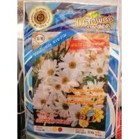 ราคา เมล็ดดอกเบญจมาศ ดอกเบญจมาศ เมล็ดดอกไม้ เมล็ดผัก เมล็ดพันธุ์ ตรา สี่ทิศ 4ทิศ เบญจมาศ (6734841079)