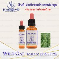ราคา (Wild Oat) Bach Flower Essence (droppler) ขนาด 10 ml. หรือ 30 ml. ของแท้ 100% ***พร้อมส่งในไทย*** (23128527130)