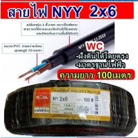 ราคา GOAL สายไฟฝั่งดิน NYY 2x6 ความยาว 100เมตร สายไฟทองแดงฝังดินโดยตรง เบอร์ 6 มาตรฐานการไฟฟ้า (25618783751)