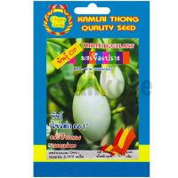 ราคา เมล็ดพันธุ์มะเขือเปราะ พันธ์ุไข่เต่า เอ1 ตรากำไลทอง (28631259627)