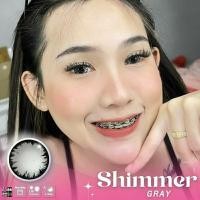 ราคา Shimmer Brown/Gray คอนแทคเลนส์ Wink (17074848620)