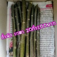 ราคา กิ่งพันธ์ผักชายา คะน้าแม็กซิกัน (ผักผงชูรส) 20กิ่ง 100บาท (5738816826)