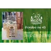 ราคา ข้าวกล้อง กข 43 ข้าวน้ำตาลต่ำ (6016525436)