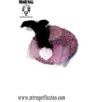 ราคา กิ๊ฟผมแฟนซี หมวกแบบเกล็ด ดอกไม้ขนนก สีชมพู (517221928)