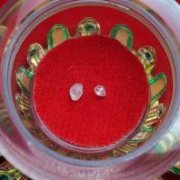 ราคา พระธาตุส่วนเล็บ หลวงพ่อซวง อภโย วัดชีปะขาว (รหัส E9/3) (40657907341)