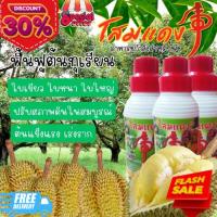 ราคา ของแท้100% โสมแดง พอลลีนาอำเภอชะอวด อาหารชูกำลังพืช โตเร็วโตไว เพิ่มผลผลิต การันตี​ของแท้ ส่งตรง​จาก​โรงงาน​ (27807762446)