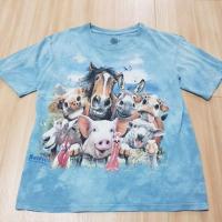 ราคา เสื้อยืดเมาเท่ามือสองThe Mountain (25584545755)