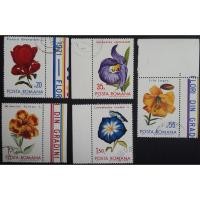 ราคา W3 แสตมป์ต่างประเทศใช้แล้ว ชุด Flowers - Botanical Garden ภาพดอกไม้ ปี 1971 ประเทศโรมาเนีย ใช้แล้ว สภาพดี จำนวน 5 ดวง (2855437632)