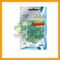 ราคา 10แถม1 เมล็ดพันธุ์ผัก คะน้าฮ่องกง เจียไต๋ (2587968643)