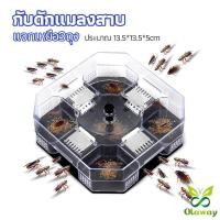 ราคา Olaway ที่ดักแมลงสาบ ที่ดักแมลงสาบ กล่องดักแมลงสาบ cockroach trap (28353310457)