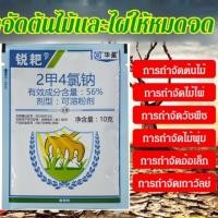 ราคา กำจัดไผ่ กำจัดต้นไม้ใหญ่ รากเน่า แห้งตาย เห็นผลไว กำจัดวัชพืชทุกชนิด แบรนด์ Prima Store (22087926340)