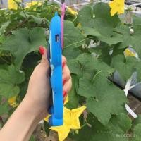 ราคา Iphone6s ซิลิโคนตะเข็บ Apple 12pro เหมาะสําหรับ 14 สุดน่ารัก Koala xr6.1 เด็กน้อย 13promax (44900952006)