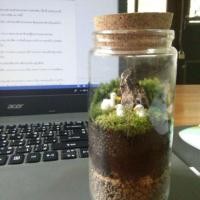 ราคา สวนขวดจำลอง<Terrarium> (5509105476)
