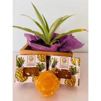 ราคา สบู่สับปะรดรังไหมทองคำ (6261309607)