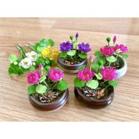 ราคา อ่างบัวจิ๋ว อ่างปลาคร้าฟ น้ำใสมาก เสริมฮวงจุ้ย ขนาด 5 cm. (17174445835)