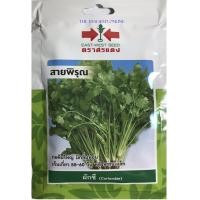 ราคา เมล็ดพันธุ์ผักชี (สายพิรุณ) ตราศรแดง เมล็ดพันธุ์ผักซองประหยัด (2672725232)