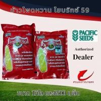 ราคา ข้าวโพดหวานไฮบริกซ์ 59 1 กิโลกรัม 8500 เมล็ด (3955444207)