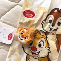 ราคา พวงกุญแจ และที่เก็บเหรียญดิสนีย์ Chip n Dale keychain (3207807)