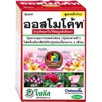 ราคา ออสโมโค้ท สูตร 13-13-13 (Osmocote) ขนาด 1 กิโลกรัม ปุ๋ยสูตรเสมอ ปุ๋ยละลายช้า ปุ๋ยต้นไม้มงคล ปุ๋ยแคคตัส (13602551305)