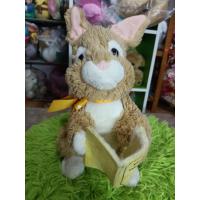 ราคา ตุ๊กตากระต่ายเล่านิทานอ่านนิทานเรื่อง Peter Rabbit Schurman group (42306587198)