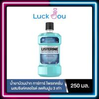 ราคา LISTERINE TARTAR น้ำยาบ้วนปาก ลิสเตอรีน ทาร์ทาร์ 750 ml. 250 ml. (16840368070)