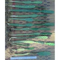 ราคา ต้นกระบองเพชร โอพันเทีย opuntia cactus แคคตัส ไม้อวบน้ำ ต้นไม้วินเทจ ต้นไม้ฟอกอากาศ ตกแต่งห้อง พันธุ์ ไม้หนาม (3933725290)