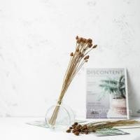 ราคา ❉₪ดอกกระถินทุ่งขนาดเล็ก ของแต่งบ้าน(พร้อมส่ง) (2967623550)