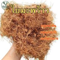 ราคา ใยมะพร้าวคลุมหน้าดิน ใยมะพร้าวรองก้นกระถางปลูกต้นไม้ ใยมะพร้าว (25846458993)