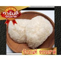 ราคา รังนกจากธรรมชาติ พร้อมตุ่น บำรุงร่างกาย รังนกแท้100% เกรดพรีเมี่ยม (10134775069)