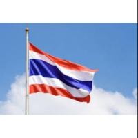 ราคา ธงชาติขนาด 60×90 (1315671625)