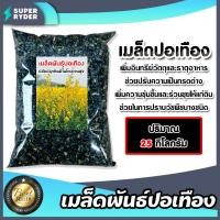 ราคา เมล็ดพันธุ์ปอเทือง บรรจุ 25กิโลกรัม เมล็ดปอเทือง พันธุ์ปอเทือง เม็ดพันธุ์ปอเทือง ดอกปอเทือง เม็ดปอเทือง สายพันธ์ปอเทือง (28665470395)