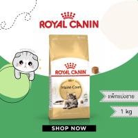ราคา ROYAL CANIN อาหารแมวโตพันธุ์เมนคูน MAINE COON แพ็คแบ่งขาย 1 กก. (23409644152)