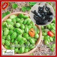 ราคา 30 เมล็ด บวบจิ๋ว บวบมะนอย เมล็ดบวบจิ๋ว เมล็ดบวบมะนอย มะนอย เมล็ดมะนอย เมล็ดบวบ บวบ (13799425327)