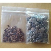 ราคา เมล็ดพยุงไหหลำ กับ พยุงไทย (2823206668)