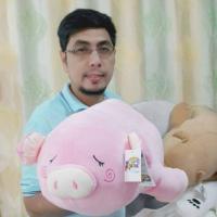 ราคา ตุ๊กตาหมูนุ่มนิ่ม หมูขี้เซา หมูนุ่มนิ่ม 70,100ซม. ใยไมโคร นุ่มนิ่ม (1090392719)