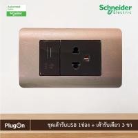 ราคา Schneider Electric ชุดเต้ารับเดี่ยว 3ขา + เต้ารับUSB พร้อมฝาครอบ 3ช่อง สีน้ำตาล | ZENcelo (22836080886)