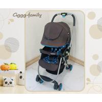 ราคา รถเข็นเด็ก Graco รุ่น CitiLite R Plus (18547784653)