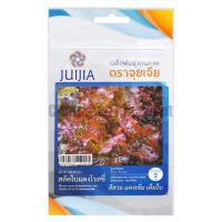 ราคา ผลิตภัณฑ์ใหม่ เมล็ดพันธุ์ 2022เมล็ดอวบอ้วน ผักกาดหอม ใบแดงโรสซี่ ตราจุยเจียเมล็ดอวบอ้วน 100% รอคอยที่จะให้ความสนใจ/ง่าย (22015232627)