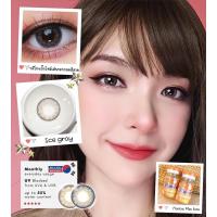 ราคา คอนเเทคเลนส์ Montra (มนตรา) Ice gray (25851958969)