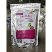 ราคา บีเอส​ bs​ บาซิลลัส​ รักษาโรคพืชจากแบคทีเรีย (10918303969)