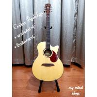 ราคา กีต้าร์โปร่งมือสอง แบรนด์ RockLynแท้% (2596604291)