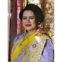 ราคา พร้อมส่งพระบรมฉายาลักษณ์พระพันปีหลวง (52000587169)