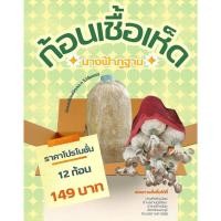 ราคา ก้อนเชื้อเห็ดนางฟ้าภูฐาน12ก้อนราคาเพียง149บาท (29716565649)