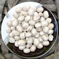 ราคา ถั่วครก ถั่วขอ ถั่วมะขาม Velvet Bean Seed (White Flower) เมล็ดพันธุ์ 20 เมล็ด คุณภาพดี ของแท้! (40763734692)