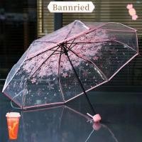 ราคา ร่มทรงพระนารี พลาสติกหนา พร้อมลายดอกซากุระ พับเก็บได้ง่าย (42955882397)