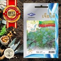 ราคา เมล็ดพันธุ์ ผักหอมป้อม 10กรัม (7651412722)