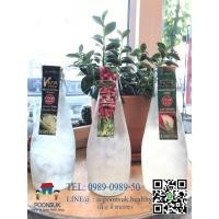 ราคา พร้อมส่ง！！ VERA GOLD ALOE VERA DRINK เวร่า โกลด์ เครื่องดื่ม น้ำว่านหางจระเข้ 300ml (13220865701)